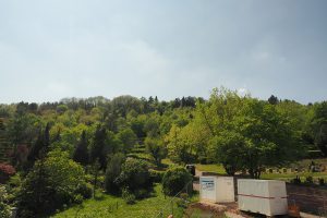 M. BAYER Baukoordination Eigentumswohnungen in Stuttgart-Wangen: Blick in den Garten